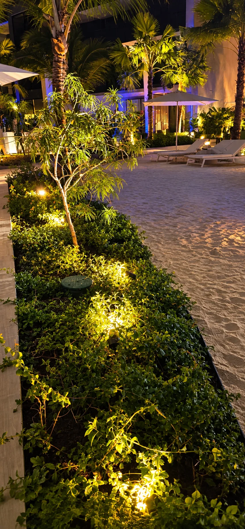 The Palms AS — imagen 8