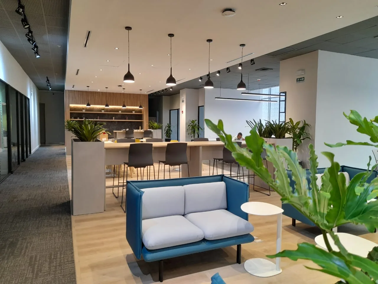 Coworking TDLA — imagen 5
