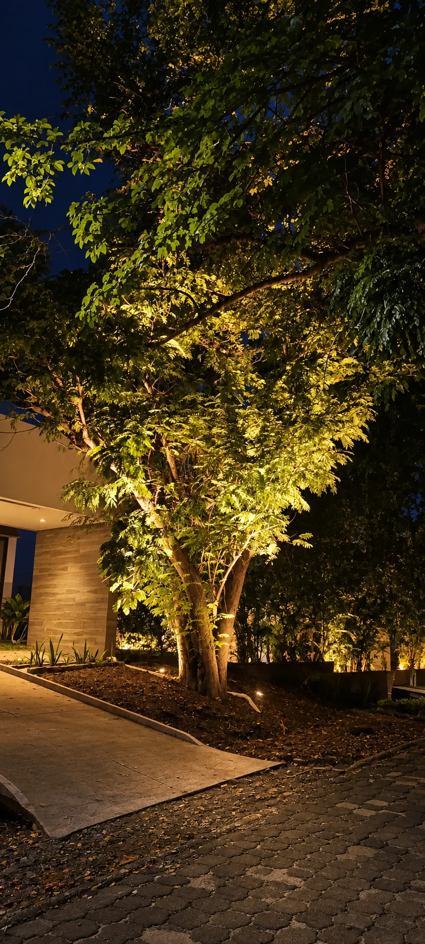 Residencia Privada CTDRA — imagen 10